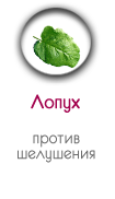 Лопух в носочках SoSu